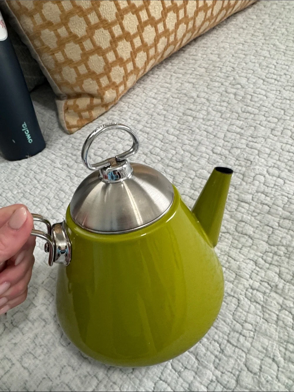 Chantal Green Stainless Steel Teapot with Polished Lid